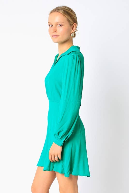 Solid A-line Mini Dress